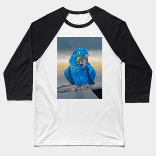 Hyacinth Macaw Baseball T-Shirt